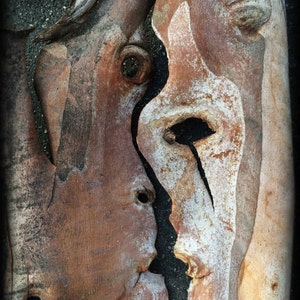 Abstract Photo | Picasso Modern Print | Tree Bark Art | Abstract Tree Print | Picasso Inspiration | Organic Nature Art | Found Object Art