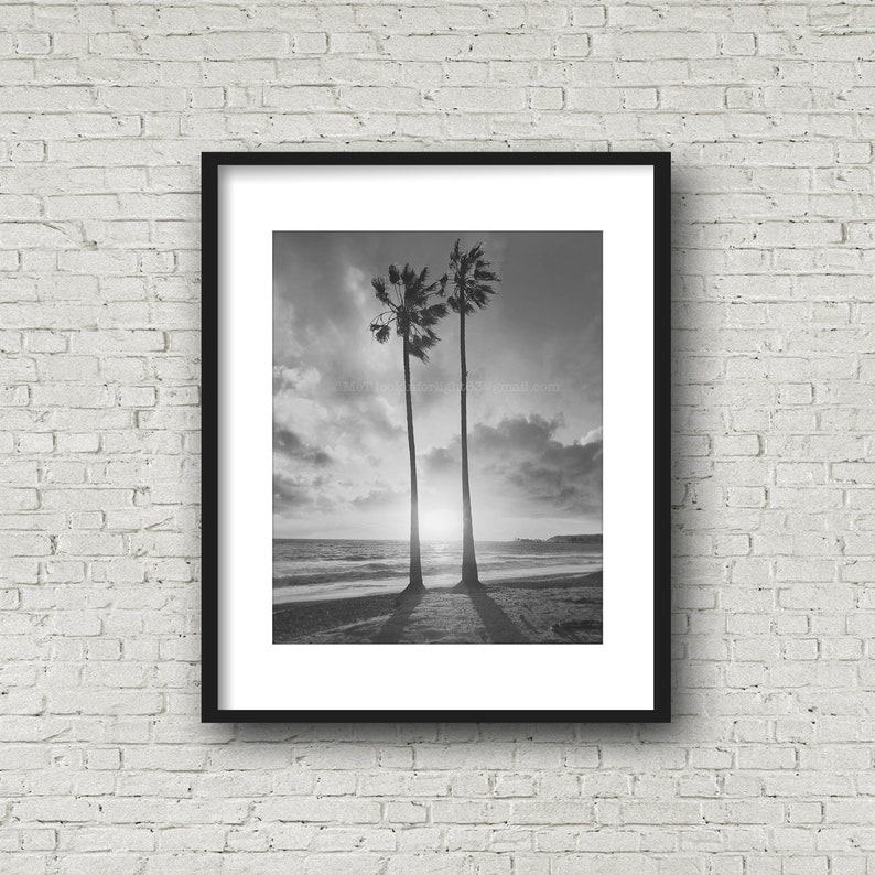 Palm Trees Ocean Sunset California Photo Beach Art Orange County Coastal Sky Pacific Coast Dana Point Art SoCal Photography image 6