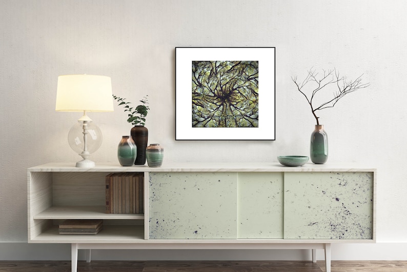 Mandala Tree Photo Live Oak Tree Art Surreal Tree Photo Montage Limited Edition Art Live Oak Tree Mandala Abstract Forest Print image 3