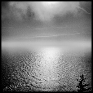 May include: A black and white photograph of a body of water with a cloudy sky above. The water is calm and reflects the light from the sky. A small tree is visible in the bottom right corner of the image.