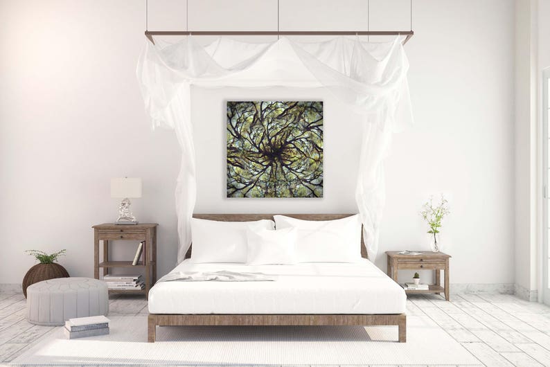 Mandala Tree Photo Live Oak Tree Art Surreal Tree Photo Montage Limited Edition Art Live Oak Tree Mandala Abstract Forest Print image 4