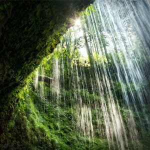 Sunlight Waterfalls Art Green Rain Forest Print Rainforest Wall Decor Waterfalls Photo Silver Falls State Park Oregon Nature Print image 1