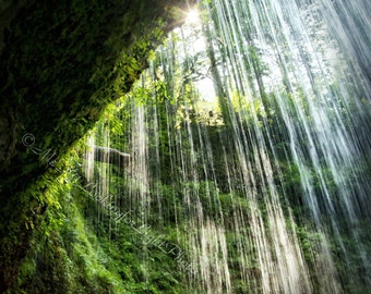 Sunlight Waterfalls Art | Green Rain Forest Print | Rainforest Wall Decor | Waterfalls Photo | Silver Falls State Park | Oregon Nature Print