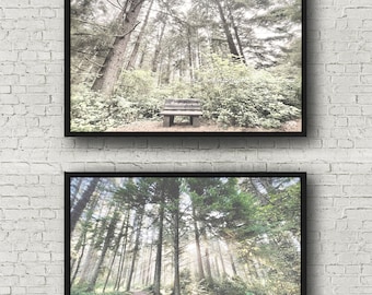 Dreamy Forest Photo Set | Woodlands Print | Tree Photo Art | SALE Photo SET | Zen Wall Decor | California Nature | Patricks Point State Park