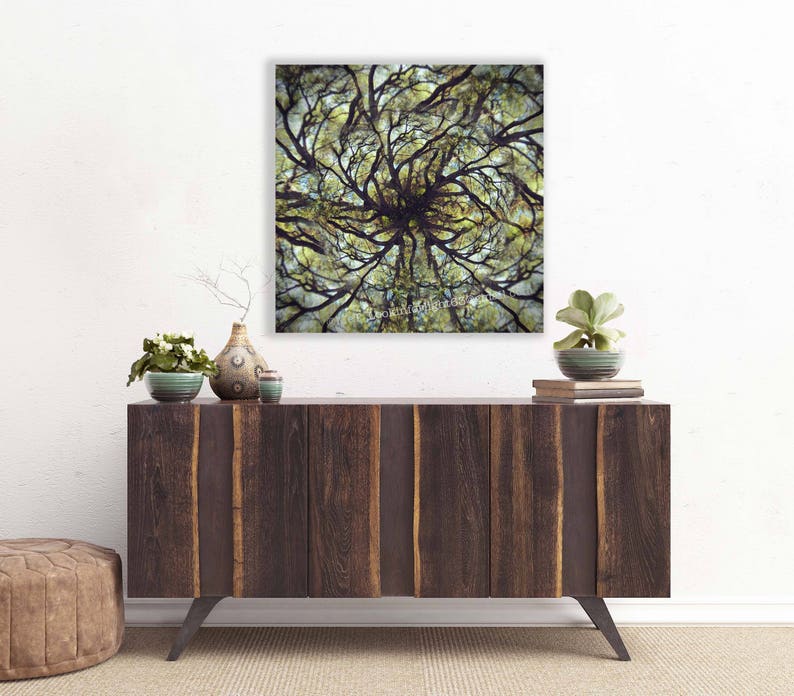 Mandala Tree Photo Live Oak Tree Art Surreal Tree Photo Montage Limited Edition Art Live Oak Tree Mandala Abstract Forest Print image 2