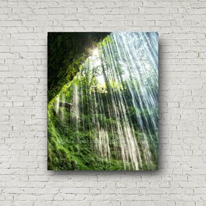 Sunlight Waterfalls Art Green Rain Forest Print Rainforest Wall Decor Waterfalls Photo Silver Falls State Park Oregon Nature Print image 8