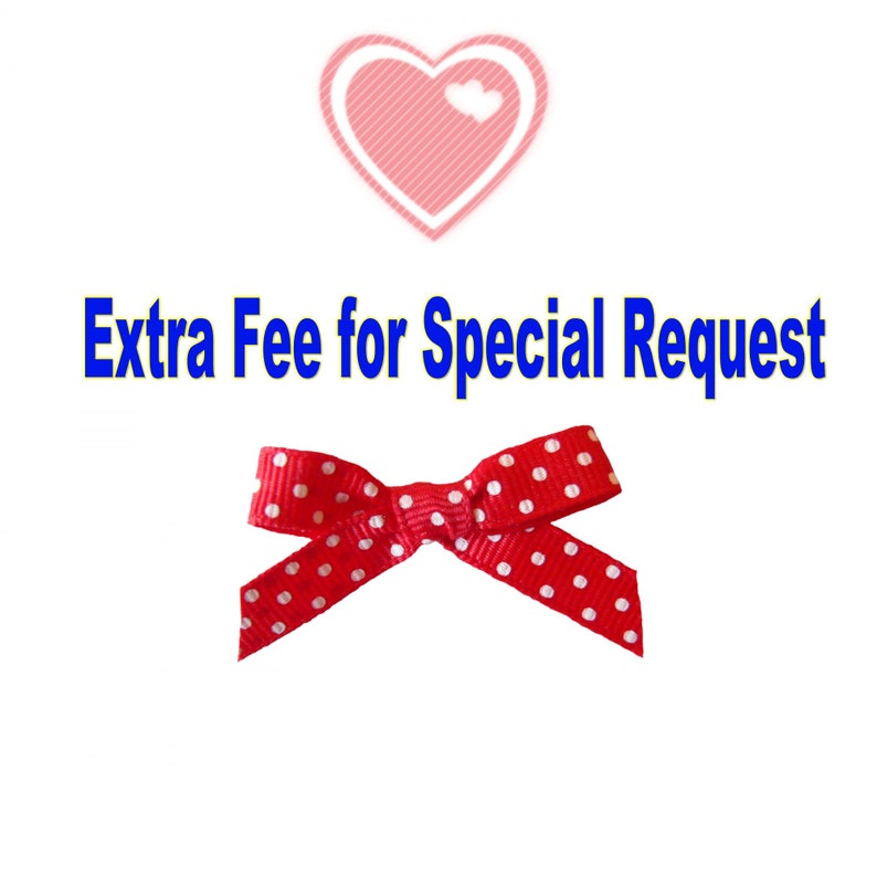 Extra Fee for Special Request image 1