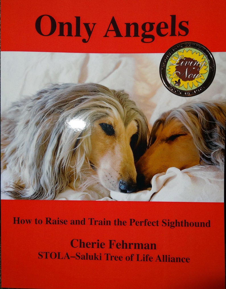 Dog Training Book