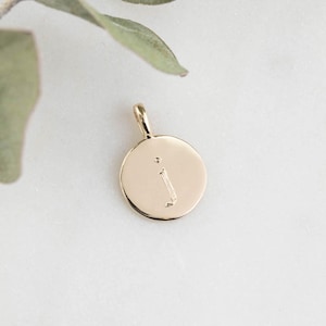 14k gouden initiaal schijfbedel, ronde schijf bedel hanger ketting, 6 mm, 10 mm, gegraveerd gepersonaliseerd cadeau
