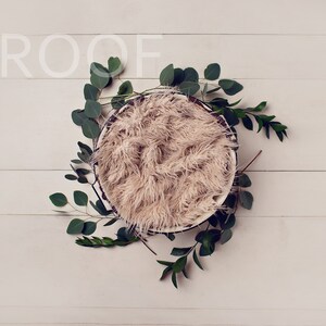 Digital Photoshop Composite Backdrop BoHo Baby