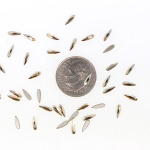 May include: A scattering of silver teardrop-shaped rhinestones, some with a gold hue, are arranged around a US dime coin. The rhinestones are approximately the same size as the coin.