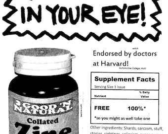 6 ShardsofGlassInYourEye! Humor Zine