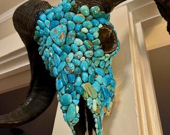 May include: A ram skull covered in turquoise stones. The skull is mounted on a wall and the horns are curved upwards.