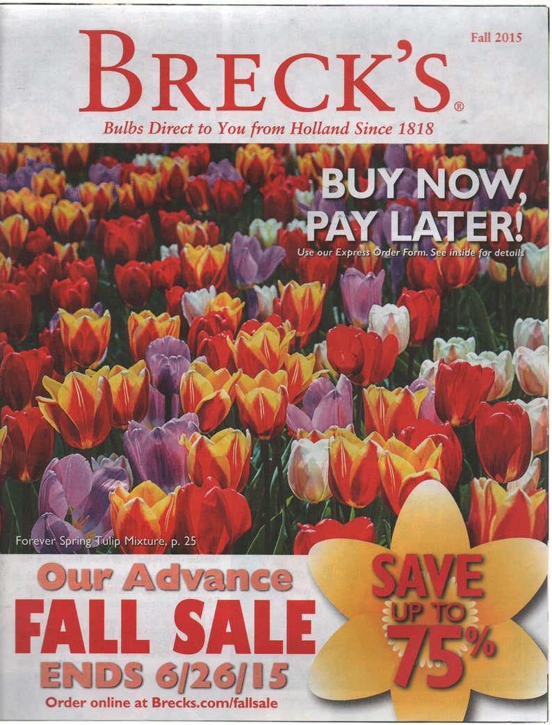 Breck's Fall 2015 Catalog Good Shape Holland Bulbs Etsy