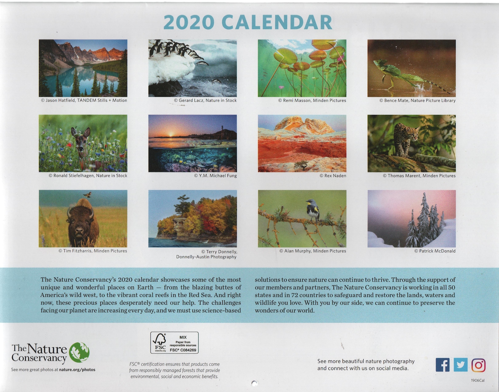 2020 Calendar The Nature Conservancy Good Shape Meerkats Etsy