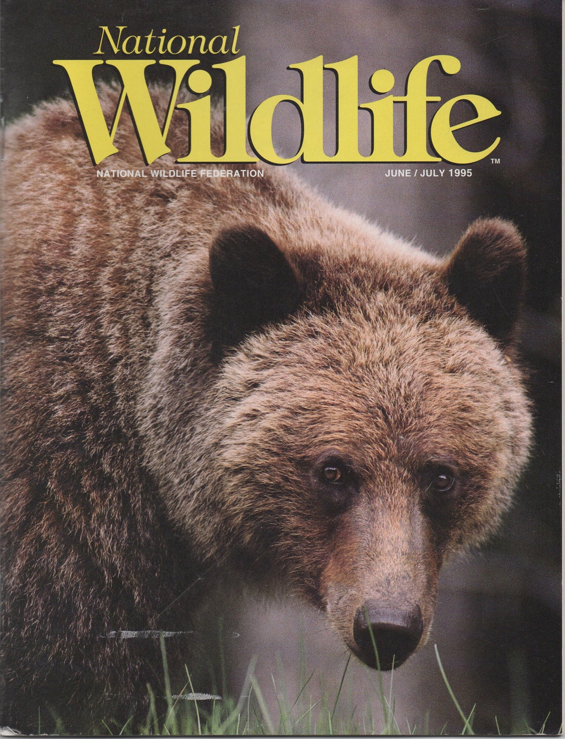 National Wildlife Magazine June July 1995 National Etsy