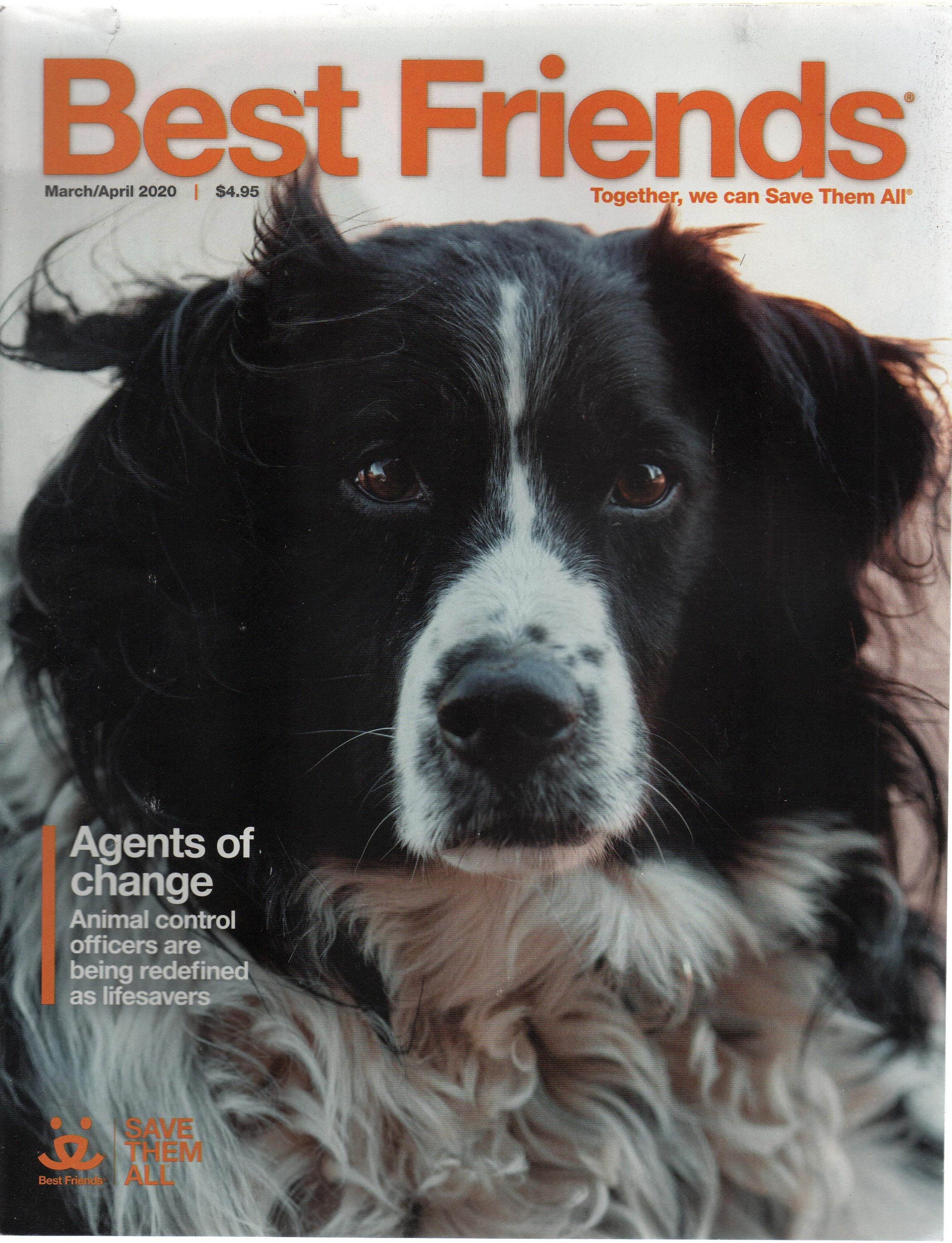 Best Friends Magazine March/april 2020 Good Shape Animal - Etsy