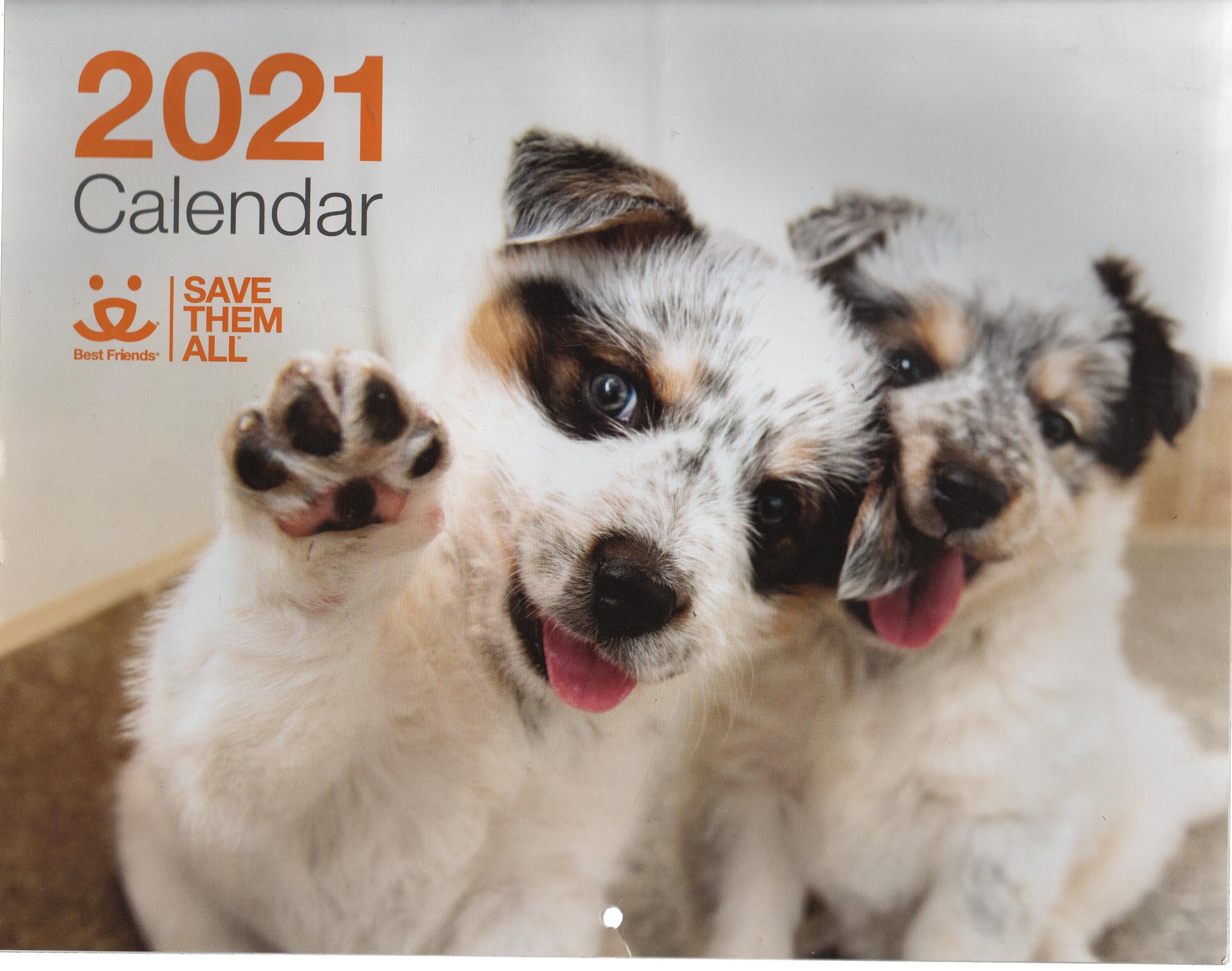 2021 Best Friends Calendar never used good shape Etsy