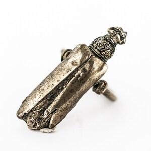 Borer Beetle Ring in Brons