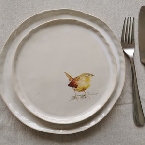 Assiettes en céramique avec oiseaux Troglodyte