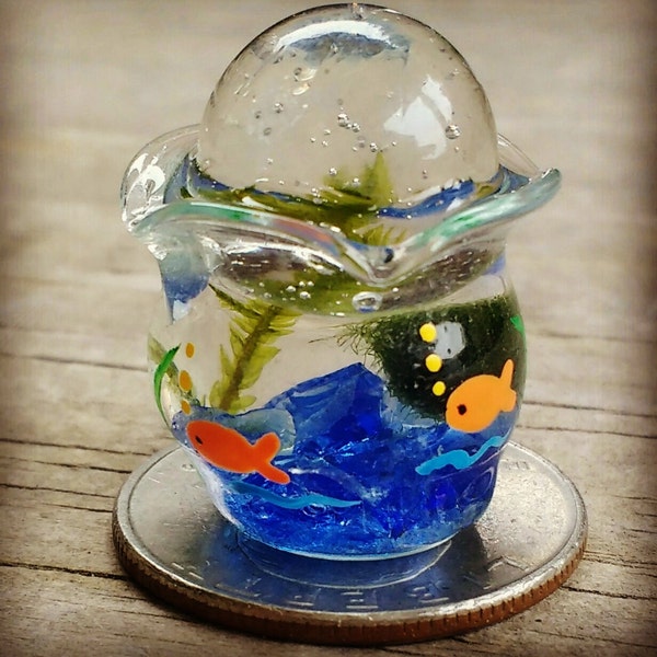 Tiny Marimo Terrarium - Live Aquatic Plants -  Tiny Fishbowl Terrarium