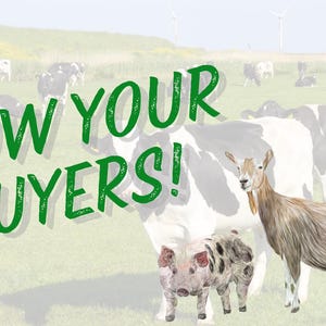 May include: A green and white text graphic that says "Wow your buyers!" in a grassy field with cows, a goat, and a pig.