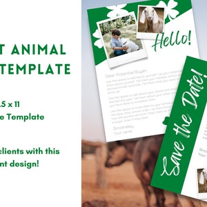 Marketing Your Animal, Livestock, Youth Letter Bundle