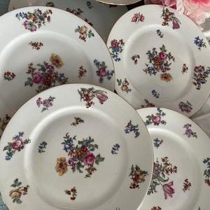 Vintage French Dinner Set, Hand Painted Flowers