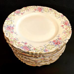 Antique French Dinner Plates, Limoges, Pink Flowers, 12