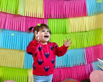 Custom Fringe Garland Photo Backdrop, Birthday Party Backdrop, PICK YOUR COLORS