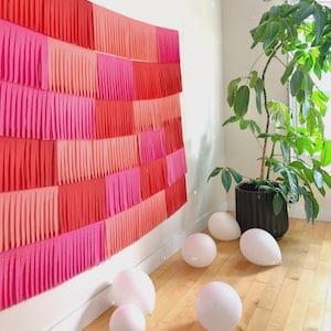 Custom Fringe Garland Photo Backdrop, Streamer Wall Party Decoration, Pick Your Colors