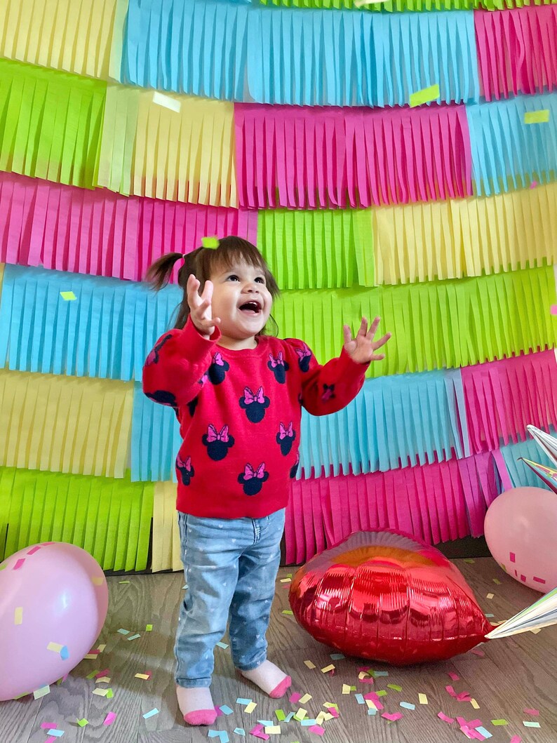 Fondo de flecos de colores personalizados, fotomatón de boda, cortina de flecos, decoración nupcial para ducha, fiesta de cumpleaños imagen 4