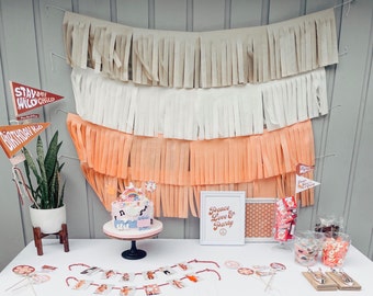 Fully Customizable Fringe Garland Backdrop | Table Backdrop | Fringe Curtain | First Birthday Party Decoration