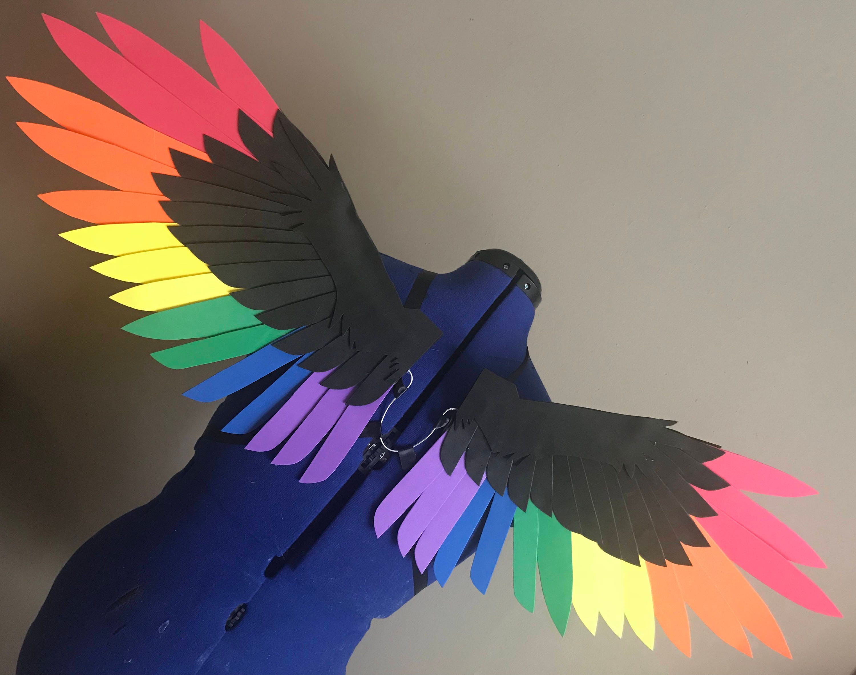 Realistic Black and Rainbow Bird Cosplay Wings - Etsy UK