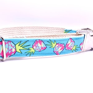 Funky Pineapple Punch Eco Dog Collar in Blue