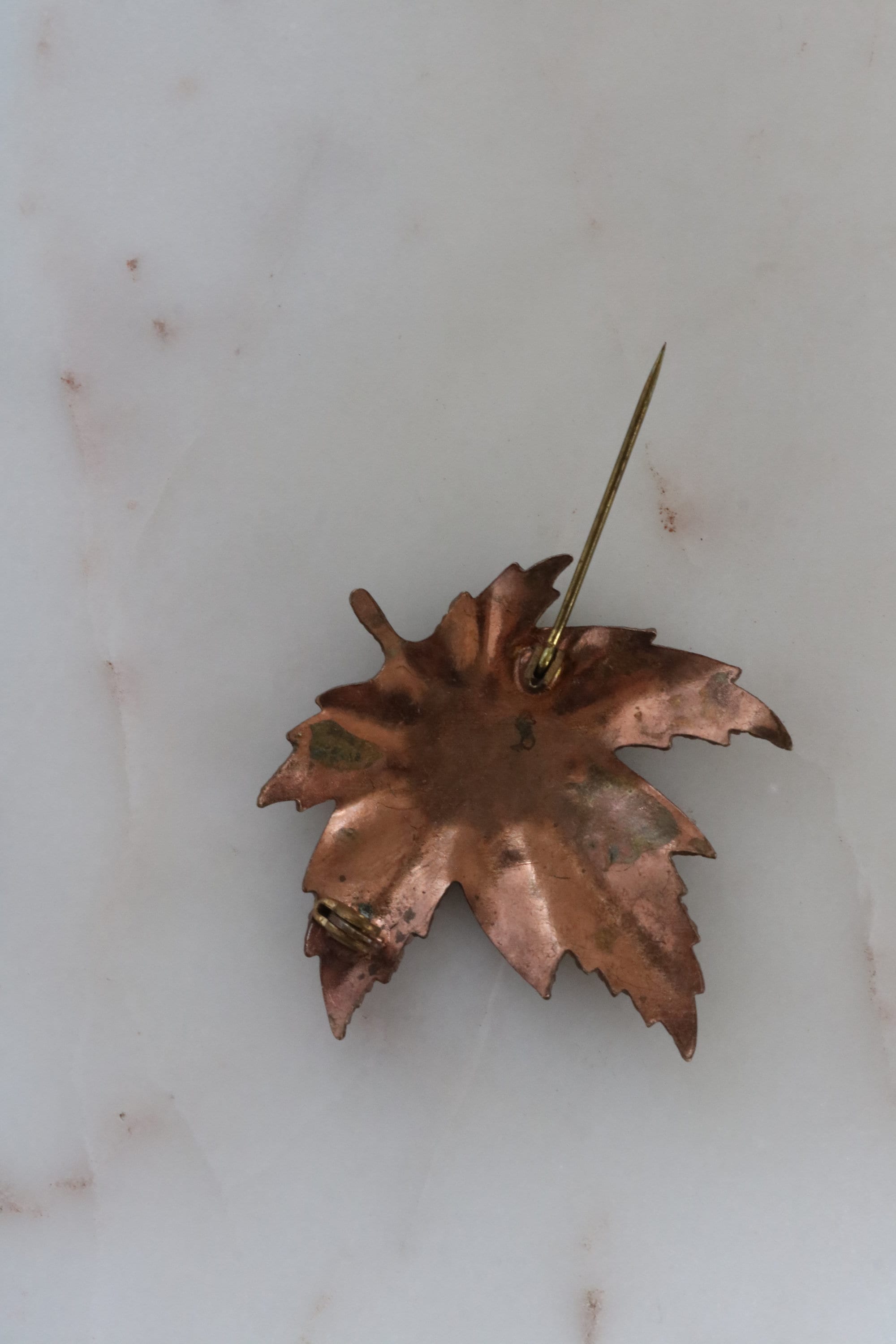 Vintage Copper & Orange Preserved Maple Leaf Brooch – The Mustard