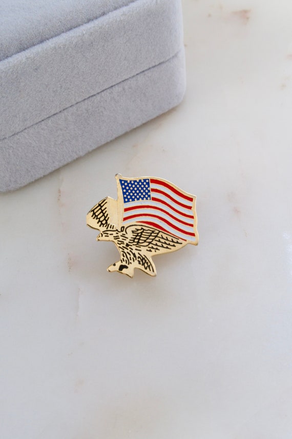 Vintage USA Flag Pin Eagle pin American Flag And E