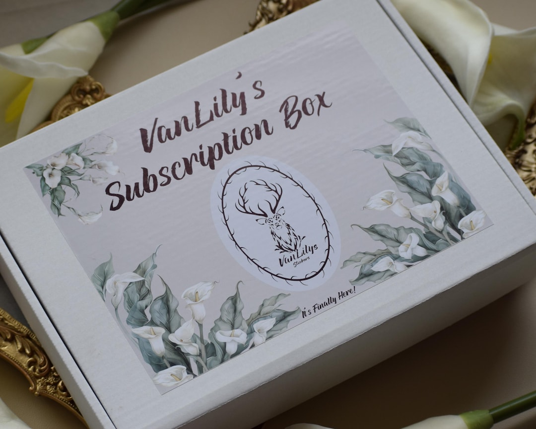 Vanlily's Monthly Budget Sticker Kit One Time Box - Etsy