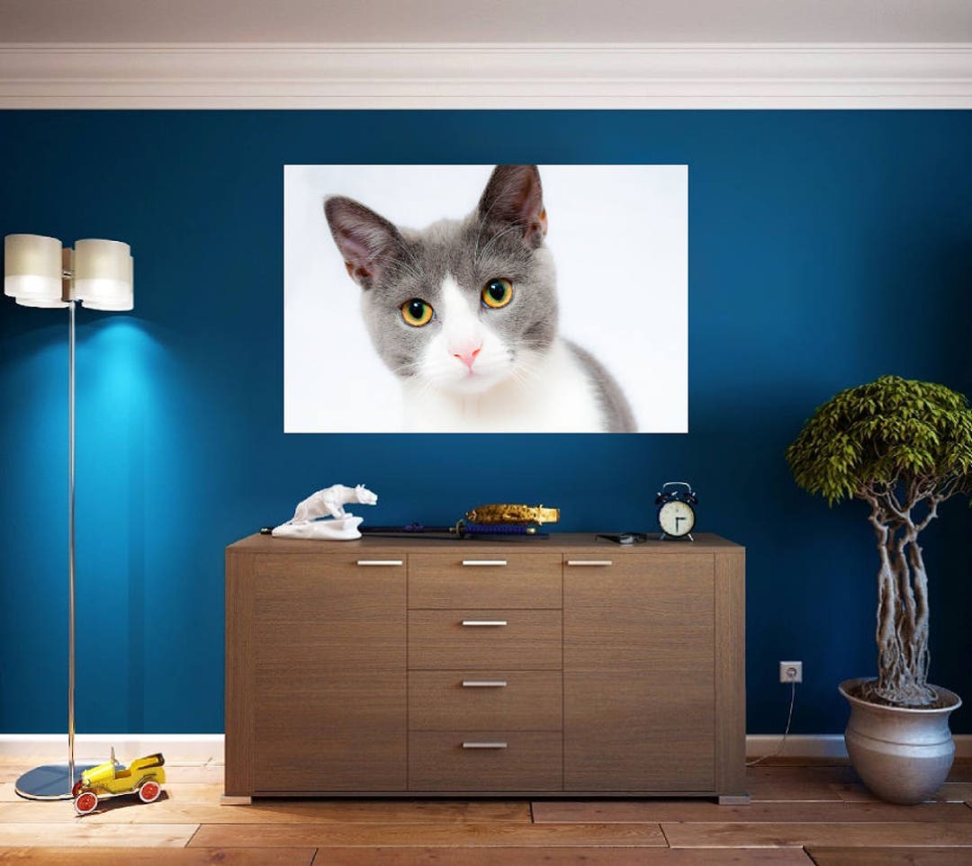 Cat Wall Art Sticker Vinyl Decal Custom Home Decor - Etsy