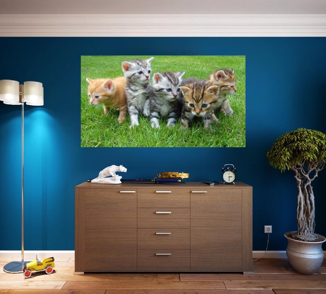 Kittens Wall Art Sticker Vinyl Decal Custom Home Decor - Etsy