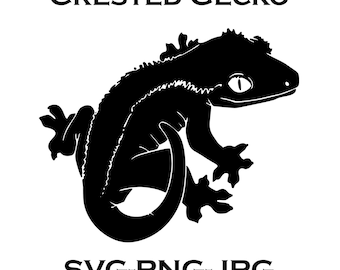Crestie, Crested Gecko Cricut, Crested Gecko, Crested Gecko SVG, Png, jpg, Gecko Png, Silhouette Svg