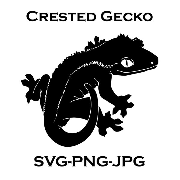 Crestie, Crested Gecko Cricut, Crested Gecko, Crested Gecko SVG, Png, jpg, Gecko Png, Silhouette Svg