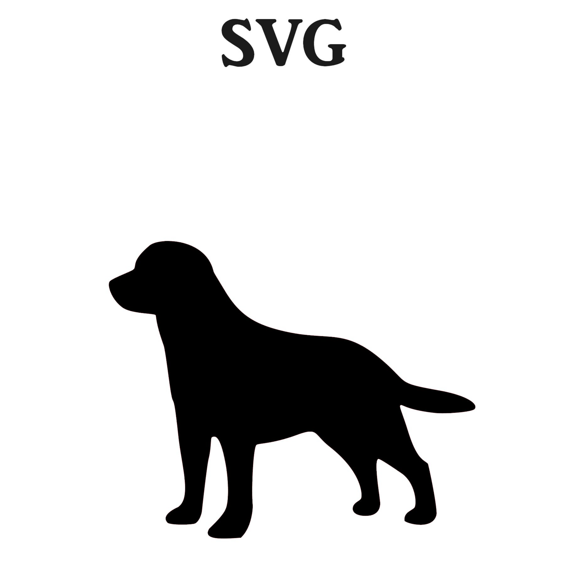 Lab SVG File SVG Files for Cricut Svg Files for Silhouette - Etsy