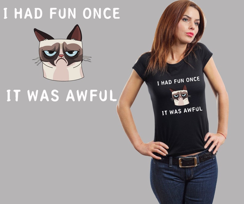 Grumpy Cat I Had Fun Once It Was Awful Meme Ladies Tshirt Etsy