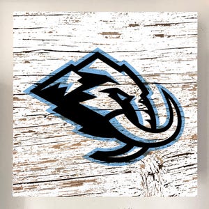 Utah Hockey Team Sign | Sports Team Decor | Wood Panel | Gloss Finish | 10x10 Man Cave Wall Art