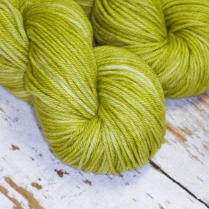 Hand Dyed KM Worsted Superwash Merino Wool Yarn in Stem Green image 1