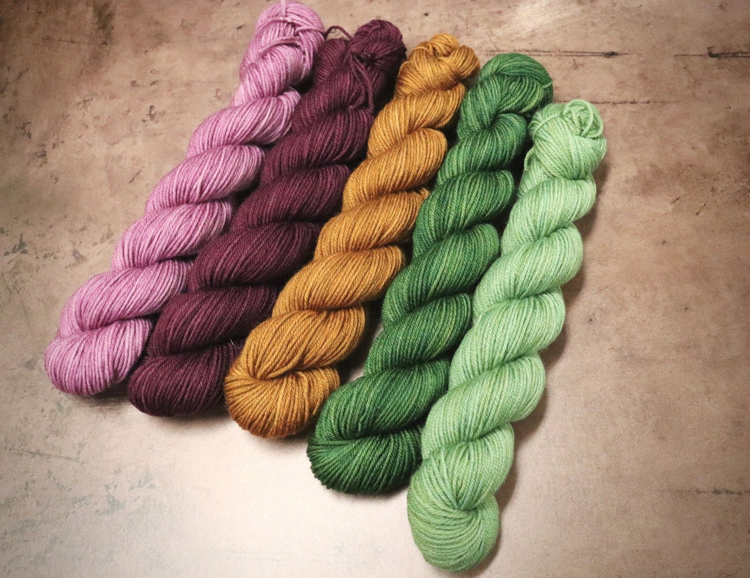 Coordinated Kings MTN Fingering Yarn Set 5 Skein Mini 25 Grams in
