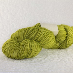 Hand Dyed KM Worsted Superwash Merino Wool Yarn in Stem Green image 2