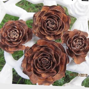 May include: Four brown pine cone roses arranged on a white surface. The pine cones are arranged in a circular pattern with the largest pine cone rose in the center.