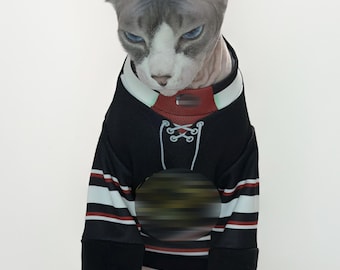 Boston Pet Bears Hockey Jersey for Pets, Heated Cat Dog Rivalry Apparel